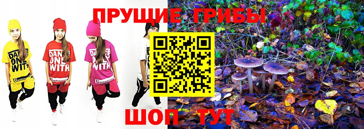 Галлюциногенные грибы GOLDEN TEACHER Светлоград