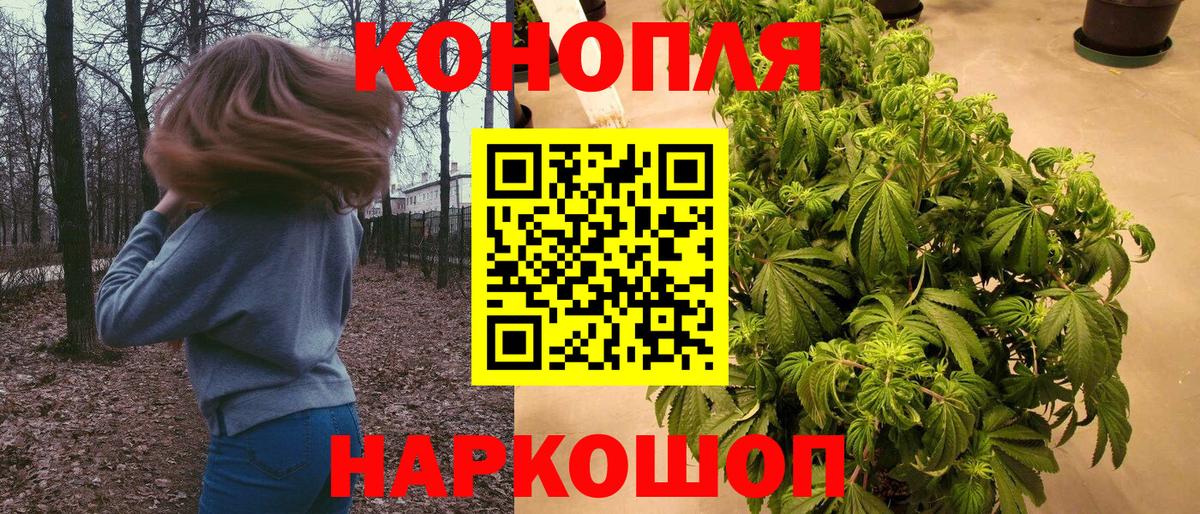 Бошки Шишки сатива  Вход с VPN  Светлоград  Бошки Шишки тримм 